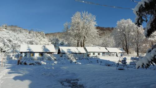 Osada Leonówka Bieszczady - Accommodation - Cisna