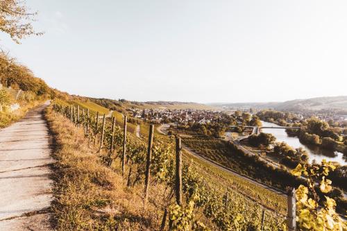 Hotel & Weingut Artur Steinmann - image 3