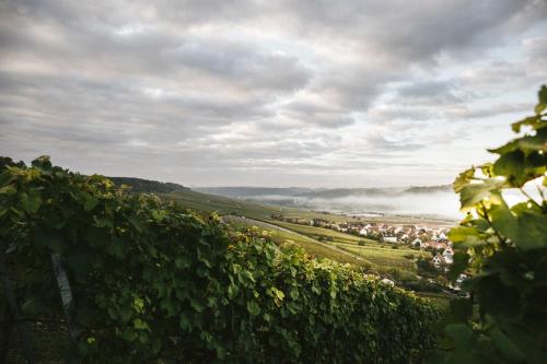 Hotel & Weingut Artur Steinmann - image 12