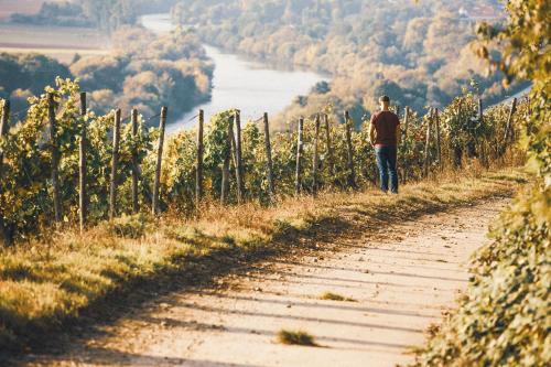 Hotel & Weingut Artur Steinmann - image 14