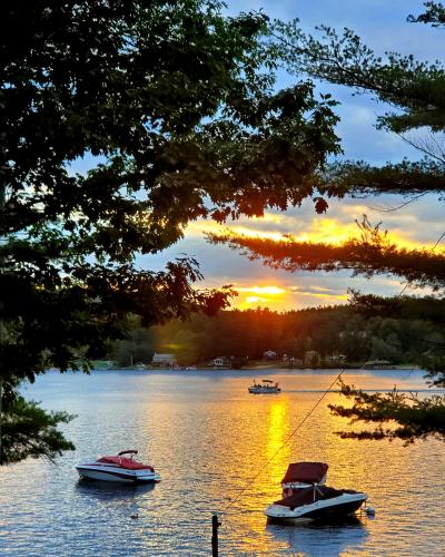 白桦山庄汽车旅馆 白桦山庄汽车旅馆