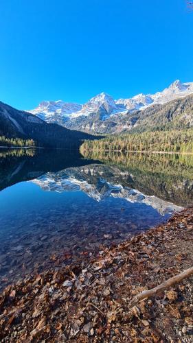 Trilocale sulle piste con vista sulla ValdiSole