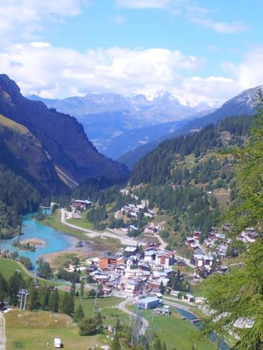 ทัศนียภาพภายนอกโรงแรม, Chalet Pomme de Pin in เลเบรวิแยร์