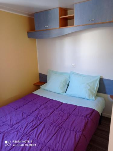Camping du Lac Room Type - Cottage