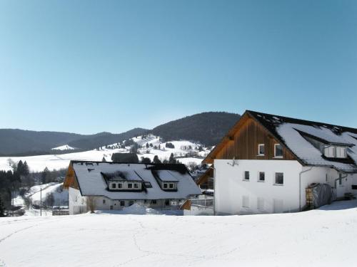 Apartment Schwarzwaldblick-3 - Bernau im Schwarzwald