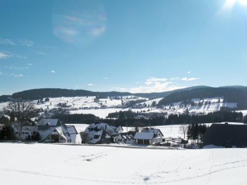 Apartment Schwarzwaldblick II by Interhome