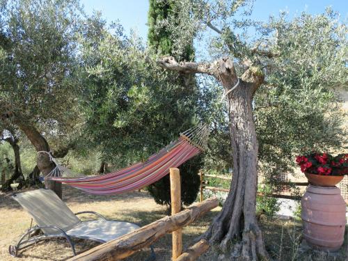  Holiday Home La Collina Fiorita by Interhome in SantʼApollinare