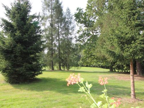 Holiday Home Spinka by Interhome in Harrachov