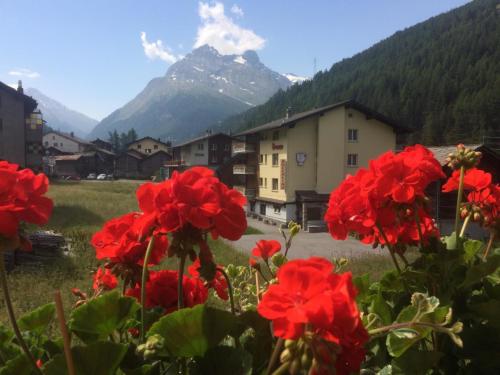 Apartment Enzian by Interhome in Saas-Grund