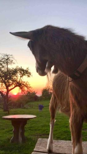 Apartment im Wanderparadies Siebengebirge in เฮนเนฟ