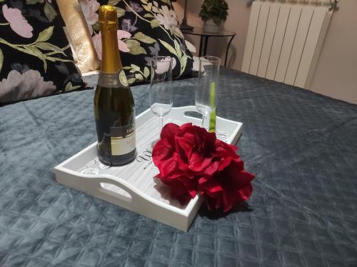 Dreams House Paola-luxury suite near airport