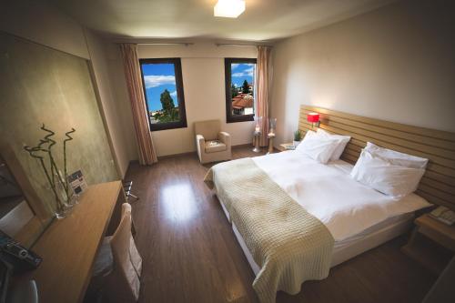 Μοdern Double orTwin Room with Mountain View