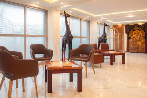 设施服务, 法亚酒店 (Faya Hotel ) in 卡萨拉法