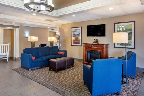 Comfort Inn & Suites - Photo 3 of 32