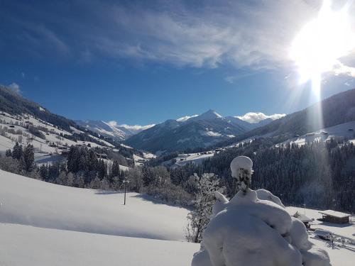 Hotel Andreas - image 12