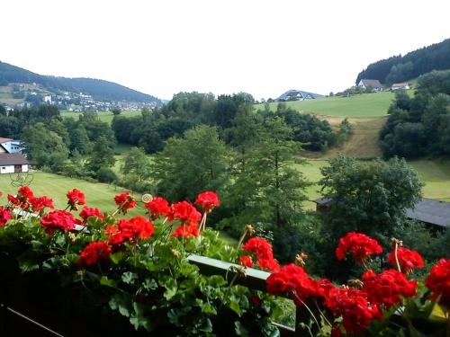 Waldblick Tonbach