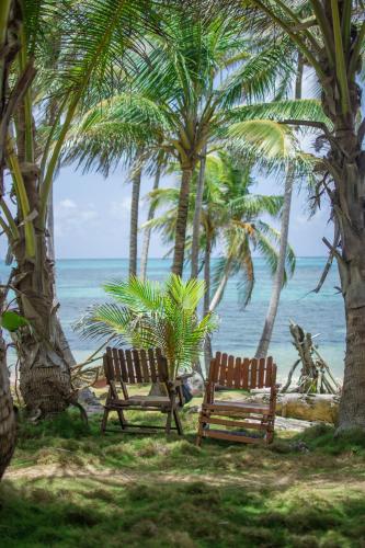 沙滩, ENSUEÑOS NATURAL RESERVE Little Corn Island Nicaragua (ENSUENOS NATURAL RESERVE Little Corn Island Nicaragua) in 小马伊斯群岛