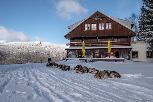 Pension Horalka, Špindlerův Mlýn