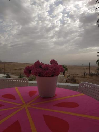 Mi Casa Tu Casa - Dead Sea in North Dead Sea