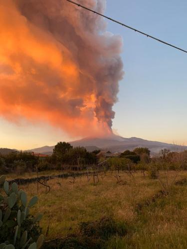  Il Tanaceto in Castiglione di Sicilia