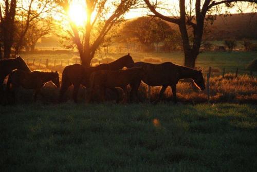Estancia El Tropezon