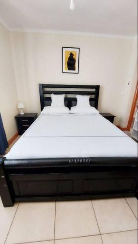 Lovely 1 bedroom apartment near JKIA