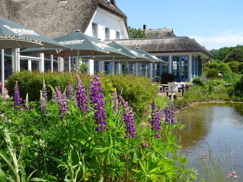 Landhotel Kastanienallee Putbus in Putbus, Deutschland