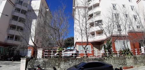 Can ho spring