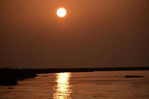 Agriturismo Venice Photobirding