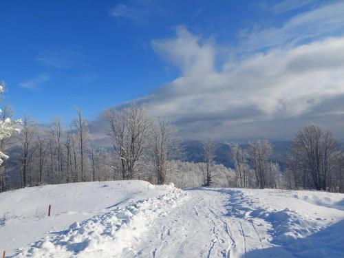 Vikendica RANKOVIĆI