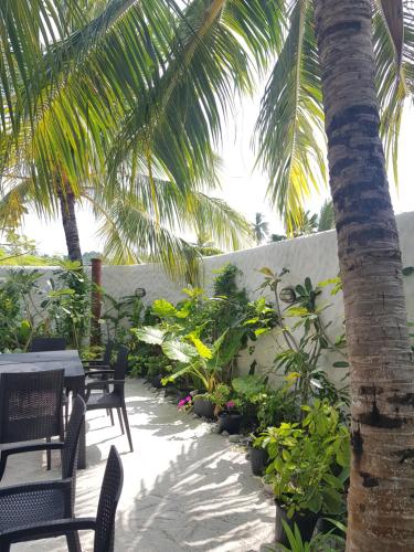 Kert, Island zephyr in Goidhoo korallzátony