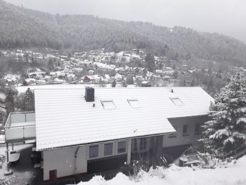 Ferienwohnung in ruhiger Waldrandlage, Bad Wildbad (foto 5)