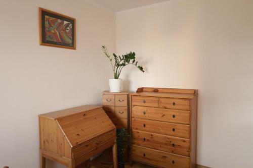 Modern and very bright apartment in Cracov, Cracovie (photo 8)