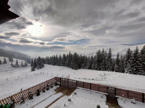 Bucovina Sky View