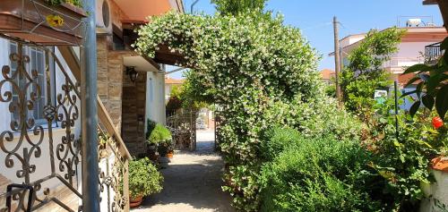  House in the Village in Fotolívos
