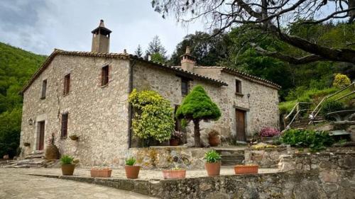 El Buxaus gîte à louer Sant Sadurní d'Osormort