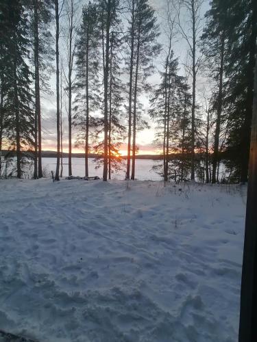 Ilveslinna - image 7