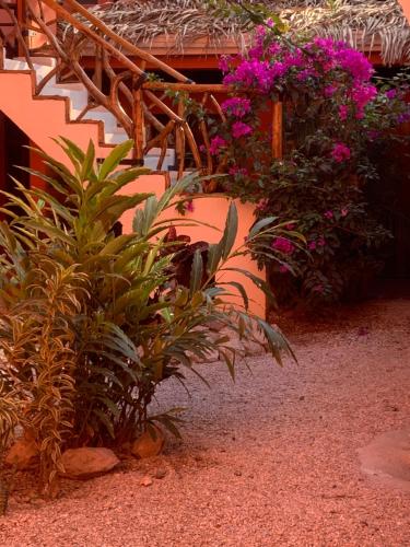 Facilities, Beach Front Bahia in Samara