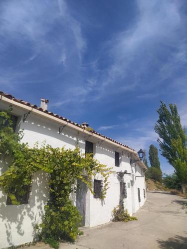 Bejárat, Casa Rural El Cortijo Nuevo, en El Cerezo in Santiago-Pontones