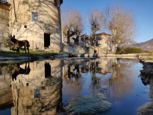 Chateau de Beaucouse