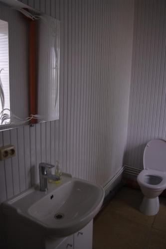 Mini-hotel 'Medovyj'