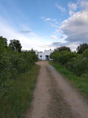 Casa do Vale da Terra Negra