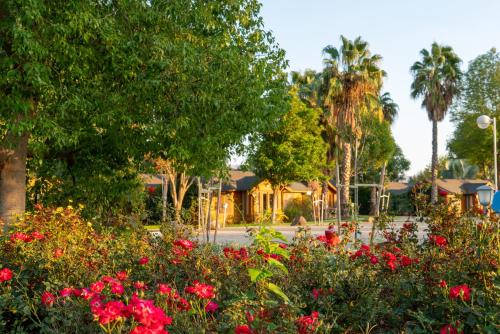 Vrt, The Jordan River Villa by Travel Hotels Group in Sde Nehemia