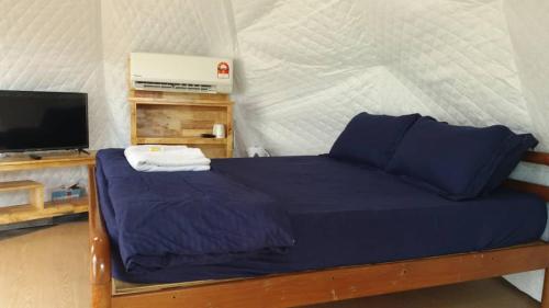 GLAMPING