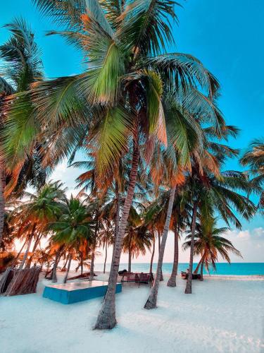 周邊環境, 馬爾代夫瓦沙法魯藍珊瑚酒店 (Blue Coral Vashafaru Maldives) in 哈阿里夫