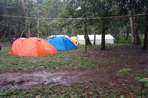 Ulem Ulem Camping Ground 1