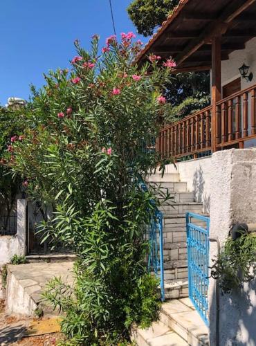 Village cottage