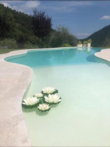 CHALET VELA Natura e Relax - Chalet - Gavardo