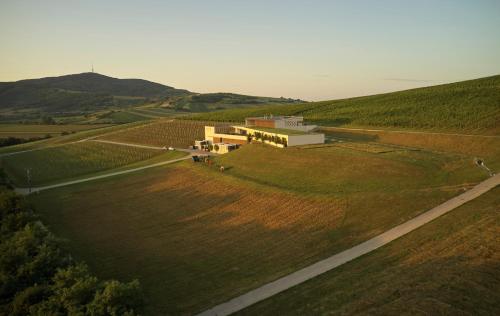 Henye Vendégház - main image