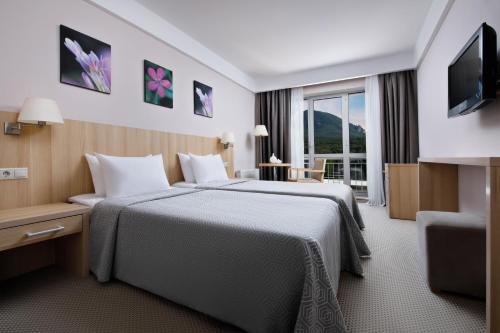 Plaza Medical & SPA Hotel Zheleznovodsk - main image